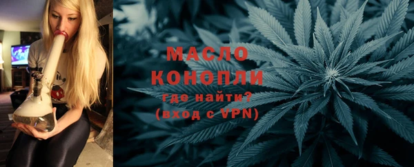 амф Гусев